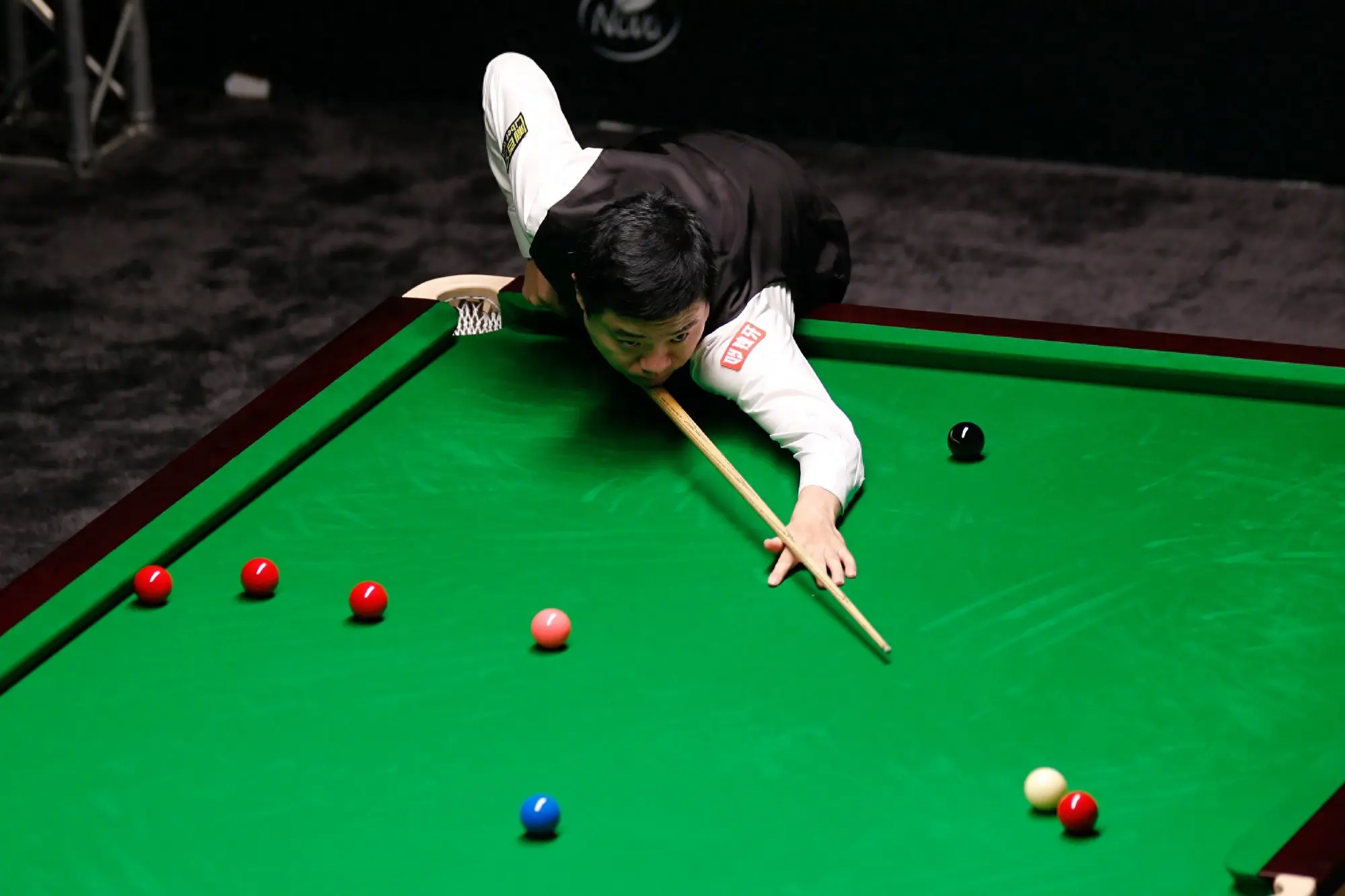 没有积分, tenan, 冠军独享 没有积分, tenan, 冠军独享