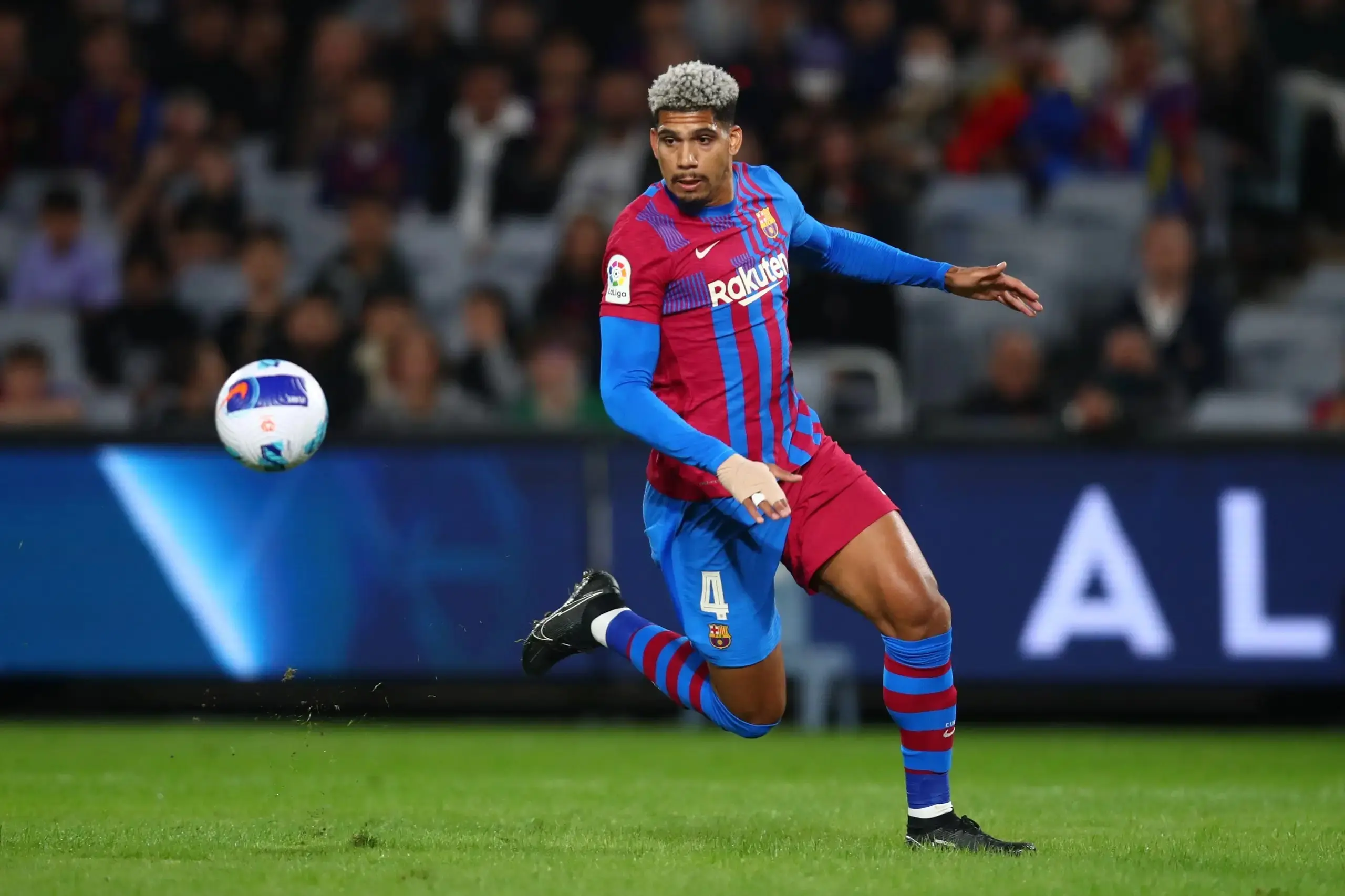 AA, 阿劳霍始终 AA, 阿劳霍始终