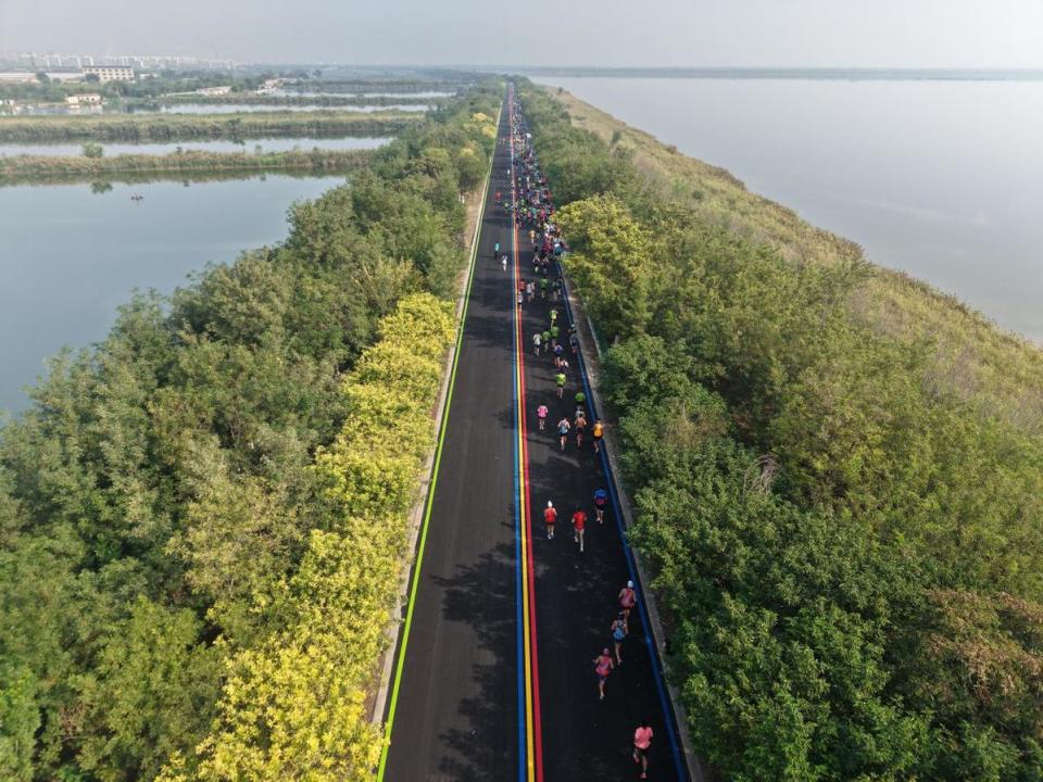 的诗意境界, 松之一, 数千无人机